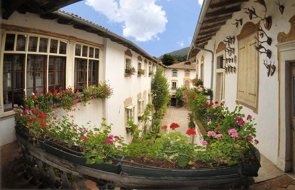 Villa Bertagnolli - Locanda Del Bel Sorriso Trient Exterior foto