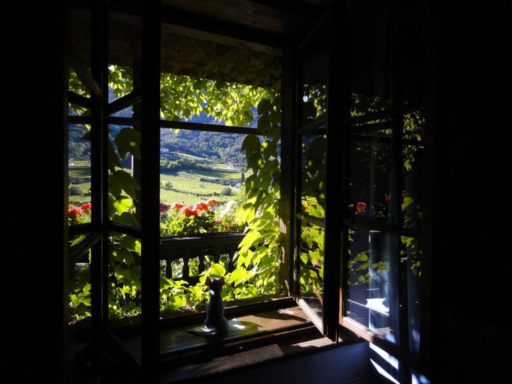 Villa Bertagnolli - Locanda Del Bel Sorriso Trient Exterior foto